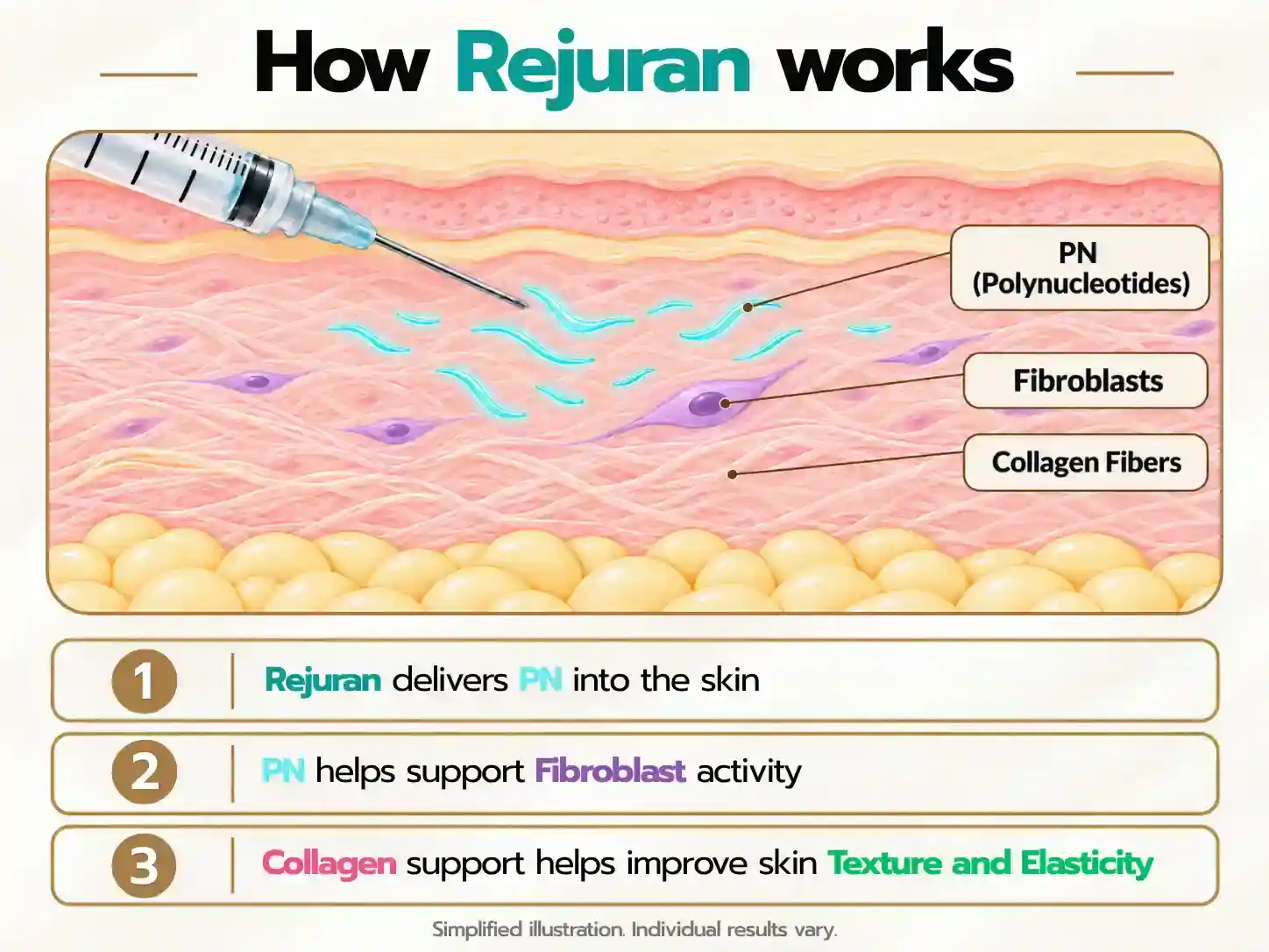 How Rejuran polynucleotides support skin repair